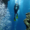 Picture taken during the dive