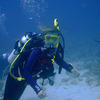 Picture taken during the dive