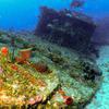 Picture taken during the dive