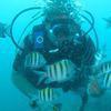 Picture taken during the dive
