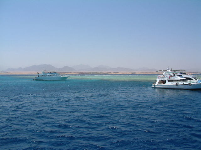 Camel Dive Club - Dive Center in Egypt