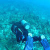 Picture taken during the dive