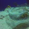 Picture taken during the dive