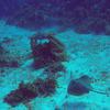 Picture taken during the dive