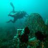 Picture taken during the dive