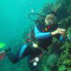 Picture taken during the dive