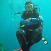 Picture taken during the dive