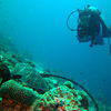 Picture taken during the dive