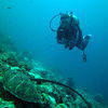 Picture taken during the dive
