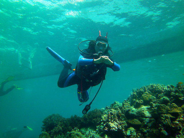 Nelson's Scuba Diving School - Dive Center
