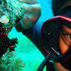 Picture taken during the dive