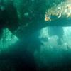Picture taken during the dive