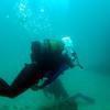 Picture taken during the dive
