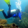Picture taken during the dive