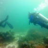 Picture taken during the dive