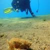 Picture taken during the dive