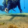 Picture taken during the dive
