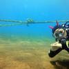 Picture taken during the dive