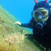 Picture taken during the dive