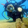 Picture taken during the dive