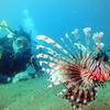 Picture taken during the dive
