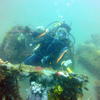 Picture taken during the dive
