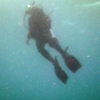 Picture taken during the dive