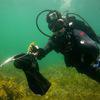 Picture taken during the dive