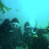 Picture taken during the dive