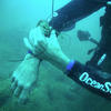 Picture taken during the dive
