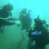 Picture taken during the dive