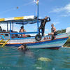 Picture taken during the dive