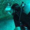 Picture taken during the dive
