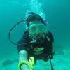 Picture taken during the dive