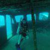Picture taken during the dive
