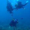 Picture taken during the dive