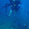 Picture taken during the dive