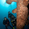 Picture taken during the dive