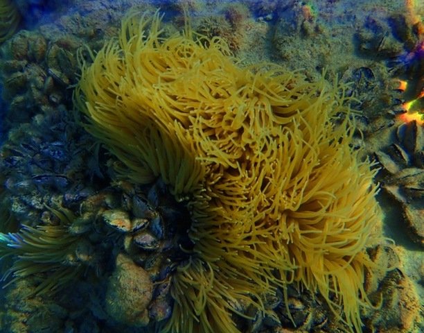 DIVEWORLD SCUBA CENTER - Dive Center in Greece