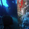 Picture taken during the dive