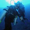 Picture taken during the dive
