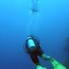 Picture taken during the dive