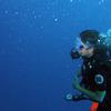 Picture taken during the dive