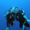 Picture taken during the dive