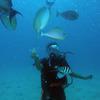 Picture taken during the dive