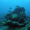 Picture taken during the dive