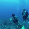 Picture taken during the dive