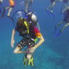 Picture taken during the dive