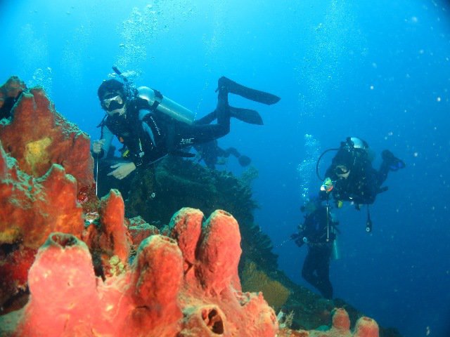 La Rascasse - Dive Center in Indonesia