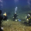 Picture taken during the dive